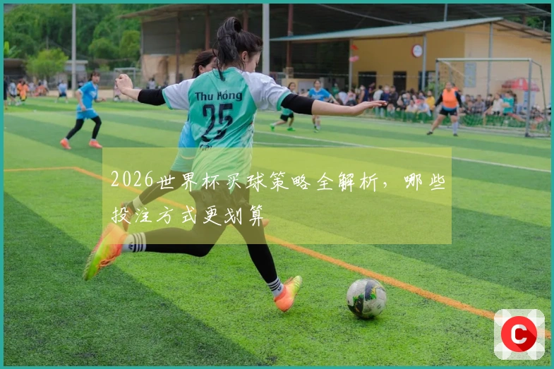 2026世界杯买球策略全解析，哪些投注方式更划算