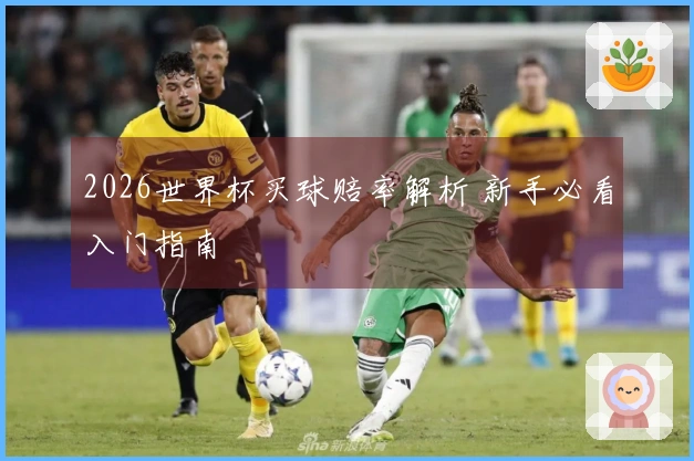 2026世界杯买球赔率解析 新手必看入门指南