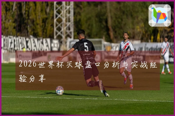 2026世界杯买球盘口分析与实战经验分享
