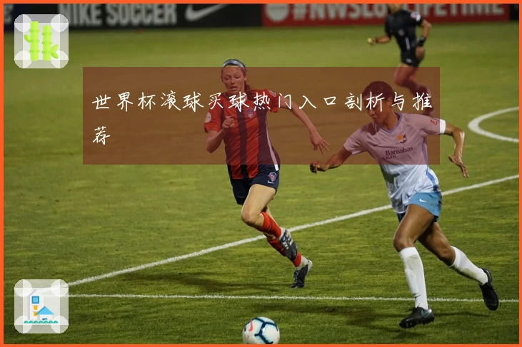 世界杯滚球买球热门入口剖析与推荐