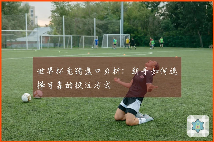 世界杯竞猜盘口分析：新手如何选择可靠的投注方式