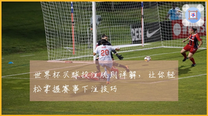 世界杯买球投注规则详解，让你轻松掌握赛事下注技巧
