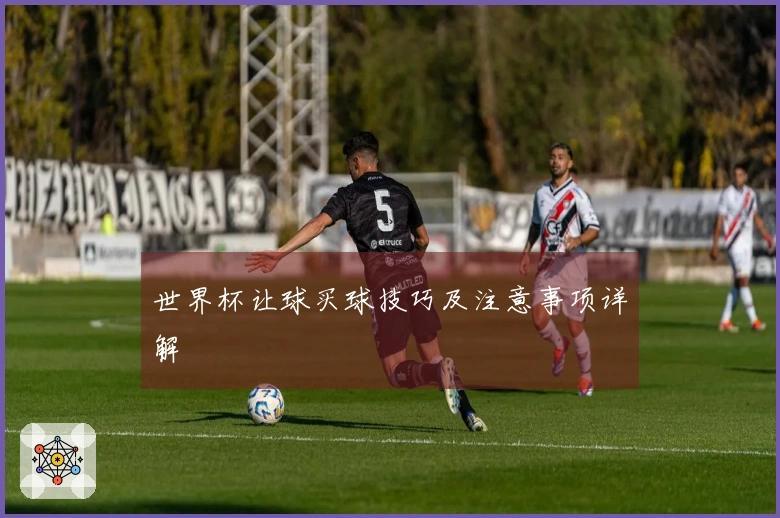 世界杯让球买球技巧及注意事项详解