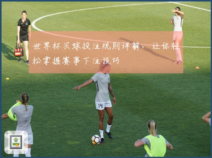 世界杯买球投注规则详解，让你轻松掌握赛事下注技巧