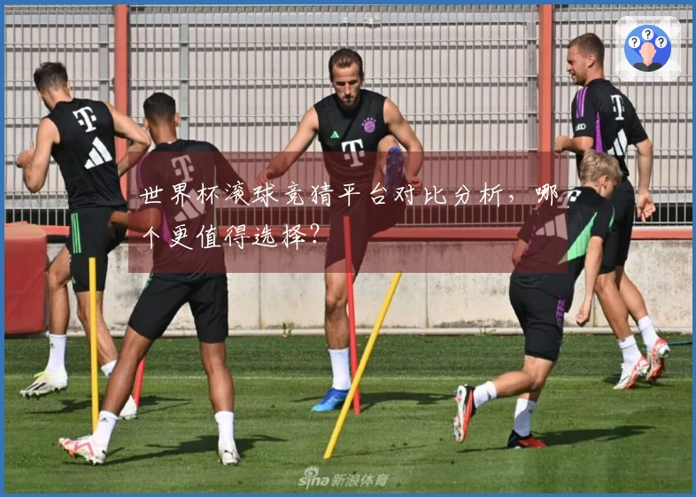 世界杯滚球竞猜平台对比分析，哪个更值得选择？