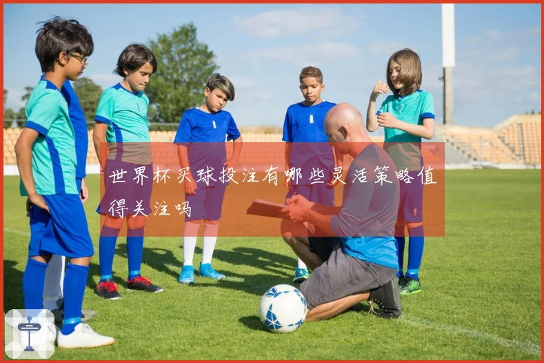 世界杯买球投注有哪些灵活策略值得关注吗