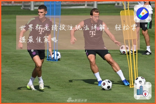 世界杯竞猜投注玩法详解，轻松掌握最佳策略