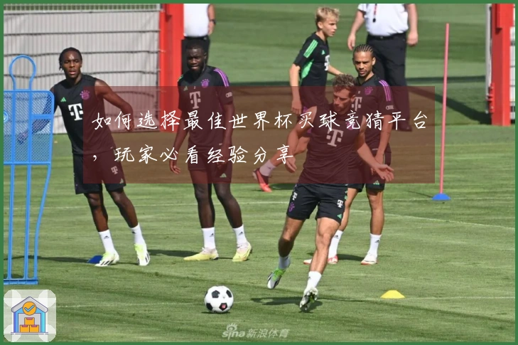 如何选择最佳世界杯买球竞猜平台，玩家必看经验分享
