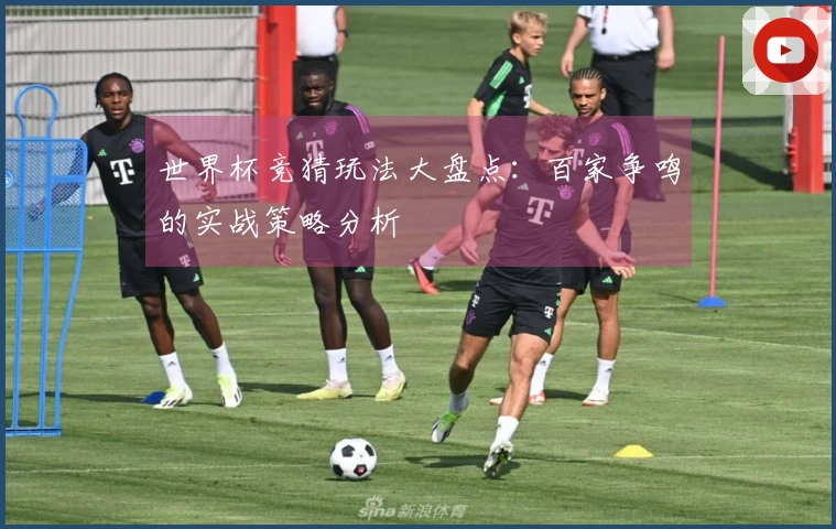 世界杯竞猜玩法大盘点：百家争鸣的实战策略分析