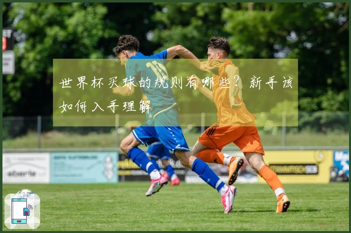 世界杯买球的规则有哪些？新手该如何入手理解