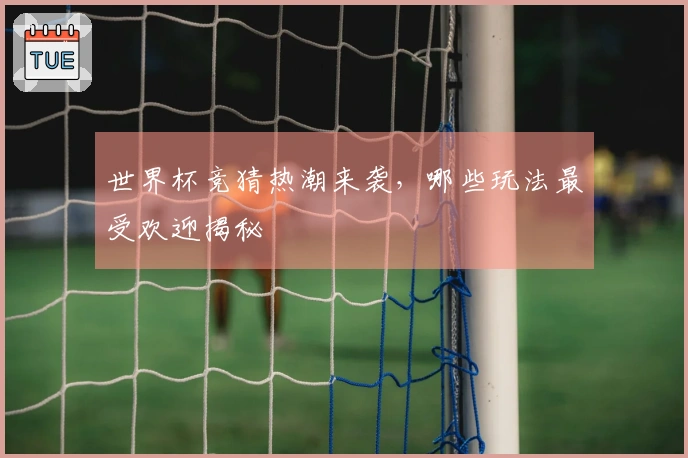 世界杯竞猜热潮来袭，哪些玩法最受欢迎揭秘